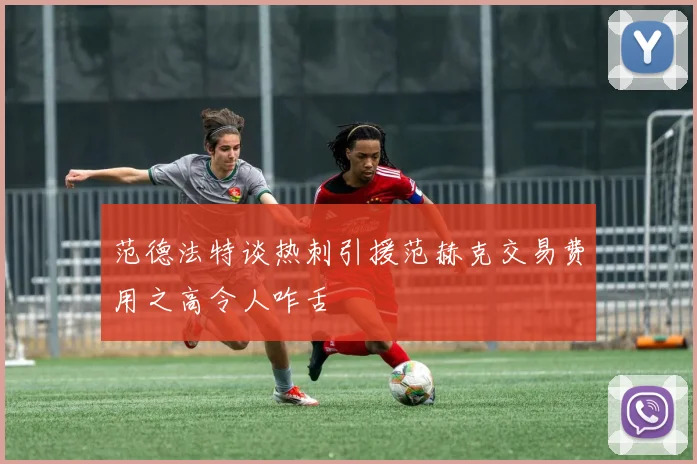 范德法特谈热刺引援范赫克交易费用之高令人咋舌
